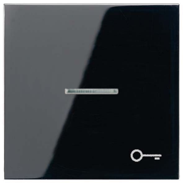 Wippe Sym.TÜR/Lichtl.sw LS 990 KO5T SW Wippe Sym.TÜR/Lichtl.sw LS 990 KO5T SW