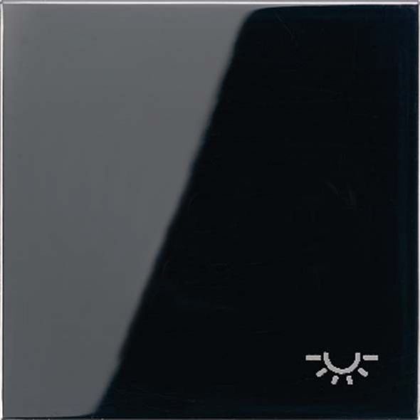 Wippe Symbol LICHT sw LS 990 L SW Wippe Symbol LICHT sw LS 990 L SW