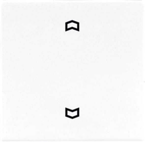 Wippe Symbole sw LS 990 P SW