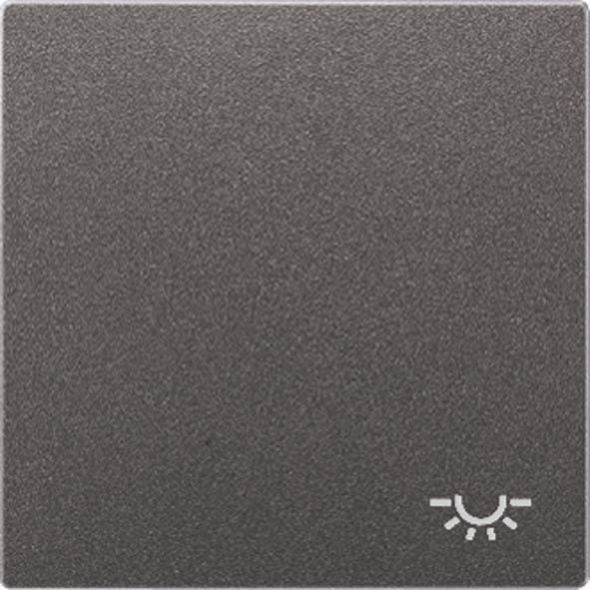 Wippe Symbol LICHT anth AL 2990 L AN Wippe Symbol LICHT anth AL 2990 L AN
