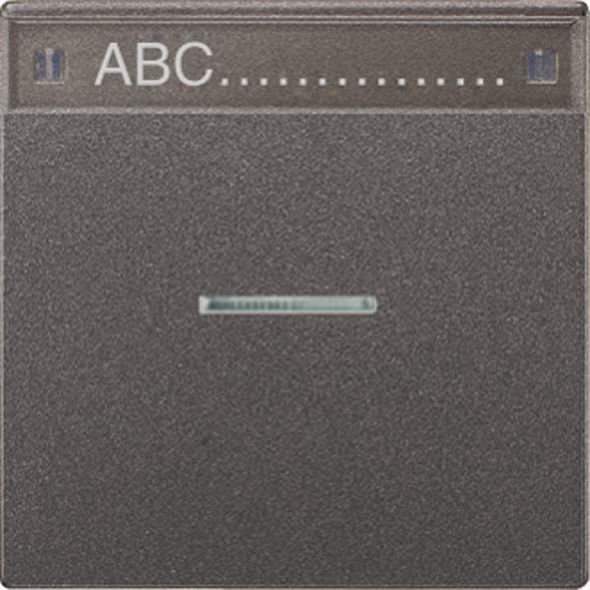 Wippe Schriftfeld anth AL 2990 NAKO5 AN Wippe Schriftfeld anth AL 2990 NAKO5 AN
