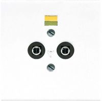 Potential-Ausgl.Steckdose LS 965-2 WW