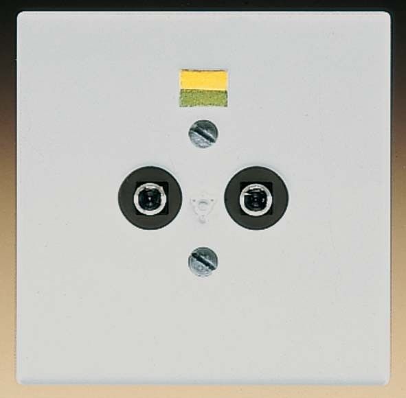 Potential-Ausgl.Steckdose LS 965-2 LG Potential-Ausgl.Steckdose LS 965-2 LG