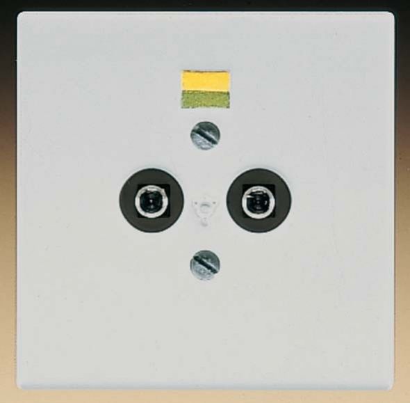 Potential-Ausgl.Steckdose LS 965-2 LG Potential-Ausgl.Steckdose LS 965-2 LG