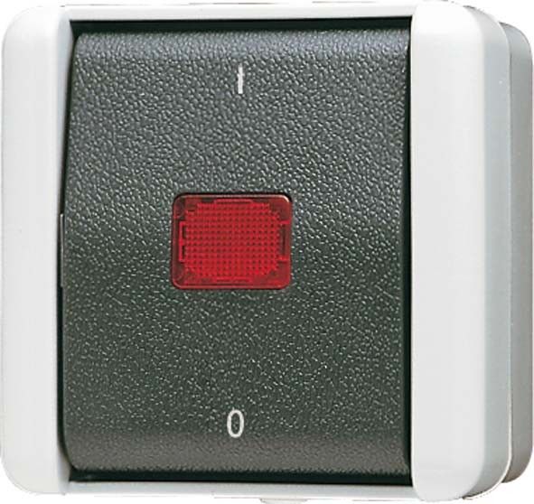 Wipp-Kontrollschalter 802 KOW Wipp-Kontrollschalter 802 KOW