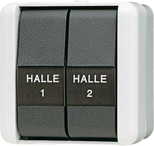 Doppel-Taster 10AX 250V 839 NAW Doppel-Taster 10AX 250V 839 NAW