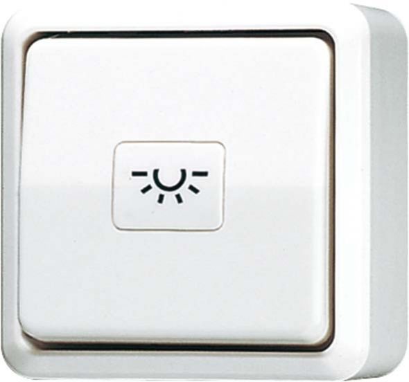 Taster ohne Symbole ws 633 A Taster ohne Symbole ws 633 A