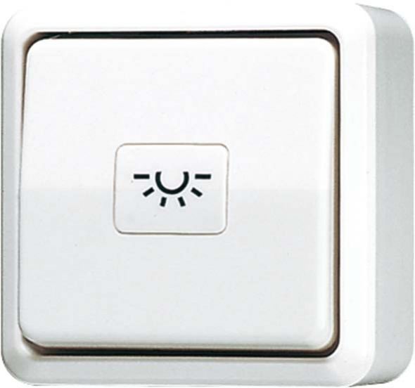 Taster ohne Symbole aws 631 A WW Taster ohne Symbole aws 631 A WW