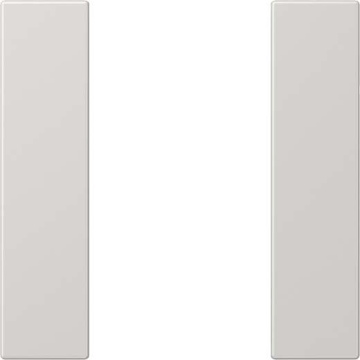 Tastensatz 1-fach LS 501 TSA LG lichtgrau Tastensatz 1-fach LS 501 TSA LG lichtgrau
