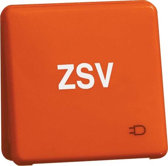 Steckdose D80.6611K ORANGE ZSV Steckdose D80.6611K ORANGE ZSV
