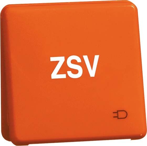 Steckdose D80.6611K WU OR ZSV Steckdose D80.6611K WU OR ZSV