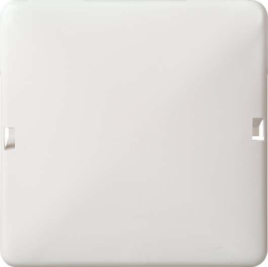 Zentralplatte blind 1 fach rw 503014 Zentralplatte blind 1 fach rw 503014