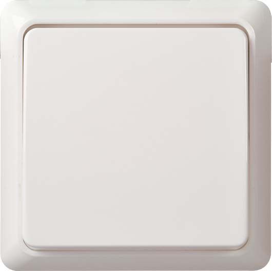 Universalschalter 10A rw 501604 Universalschalter 10A rw 501604