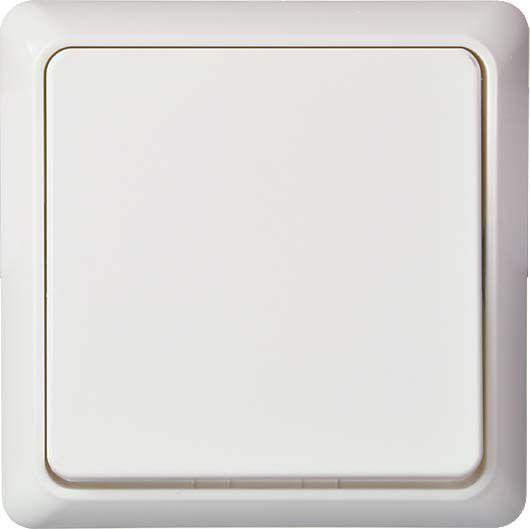 Universalschalter 10A rw 241604 Universalschalter 10A rw 241604