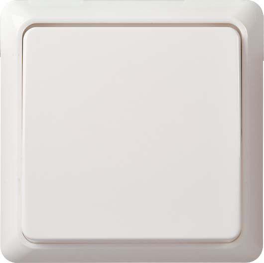 Universalschalter 10A rw 501604 Universalschalter 10A rw 501604