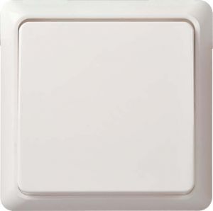Universalschalter 10A rw 501604
