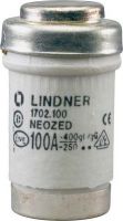 NEOZED-Sicherungseinsatz D03 80A 1702.08