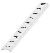 Zackband ZBF 6,lgs:1-10