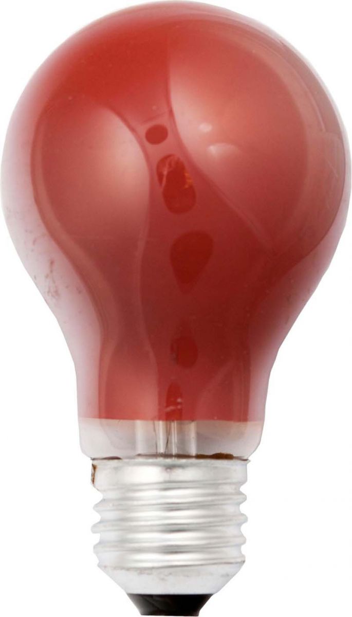 40245 Glühlampe E27 25W rot