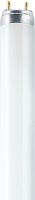 Lumilux-Lampe L 36/840-1
