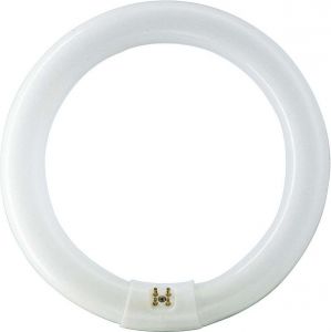 MASTER TL-E 22W/865 Leuchtstofflampe Ringform 22W/865 84053700