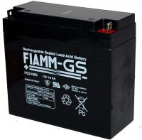 Fiamm Blei-Akku 102458