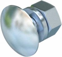 Flachrundschraube FRS 10X30 F