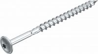 Tellerkopfschraube HT 6x100 TD