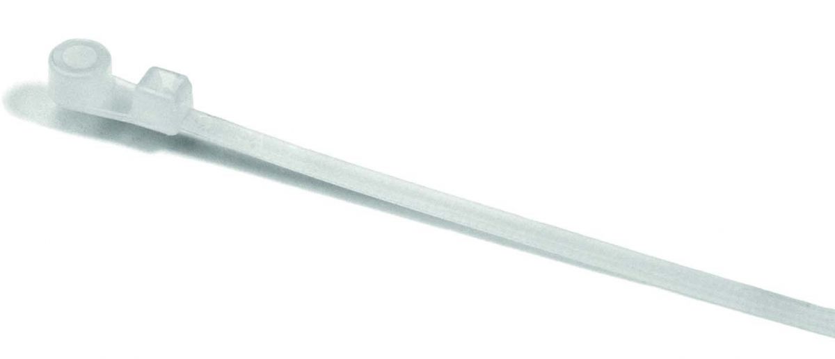 Befestigungsbinder T18MR-N66-NA-C1