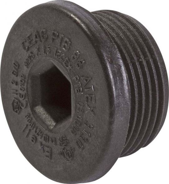 Blindstopfen M25, EEx e HWAPLUGM25EXEPLASTIC Blindstopfen M25, EEx e HWAPLUGM25EXEPLASTIC