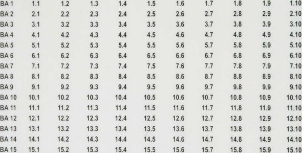 Bezeichnungssystem BS BA1 BA15 BXT Bezeichnungssystem BS BA1 BA15 BXT