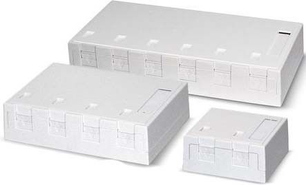 AP Dose für 2x Keyst.Modul 418035 AP Dose für 2x Keyst.Modul 418035