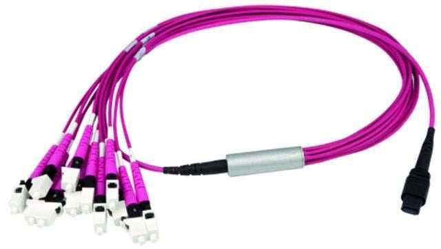 MPO/MTP Aufteilkabl vio 1m L00830A0029