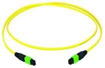 MPO/MTP-Patchkabel gb 2m L00831A0007 MPO/MTP-Patchkabel gb 2m L00831A0007