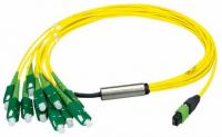MPO/MTP Aufteilkabel gb 1m L00830A0031