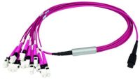 MPO/MTP Aufteilkabl vio 5m L00833A0028
