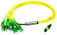 MPO/MTP Aufteilkabel gb 5m L00833A0031