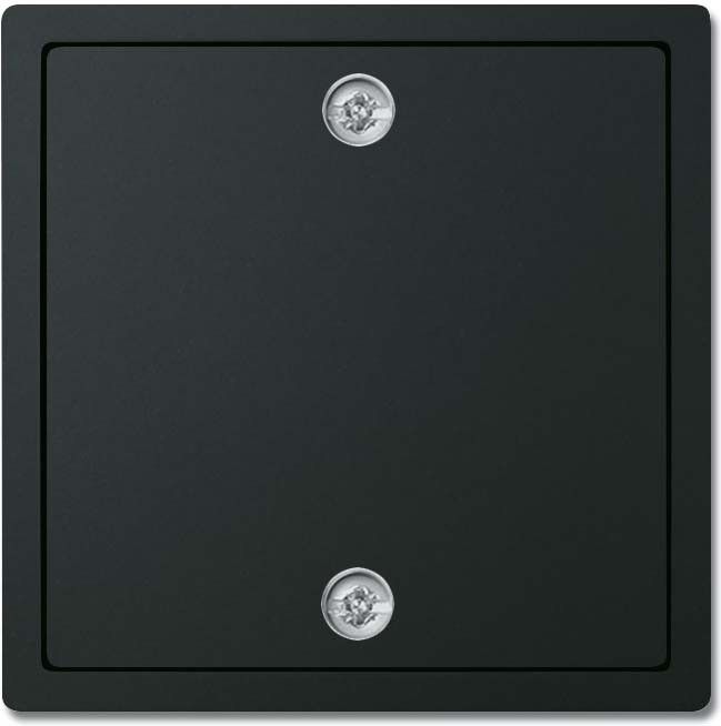 Zentralscheibe schwarz 1796-885 Zentralscheibe schwarz 1796-885