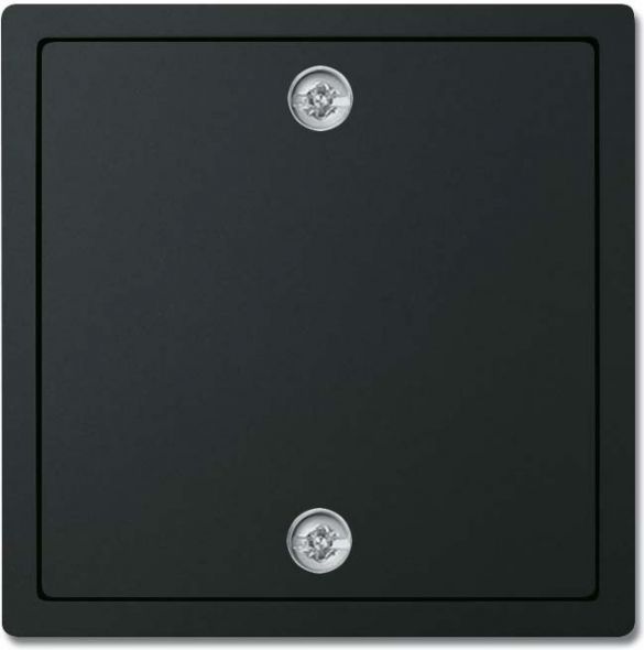 Zentralscheibe schwarz 1796-885 Zentralscheibe schwarz 1796-885