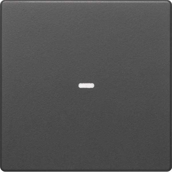 Tast-Abdeckung 1f. anth 80960226