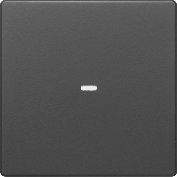 Tast-Abdeckung 1f. anth 80960226