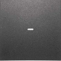 Tast-Abdeckung 1f. anth 80960285