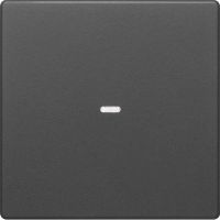 Tast-Abdeckung 1f. anth 80960226