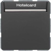 Relais-Schalter Hotelcard 16406096 anthr samt lackiert