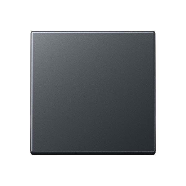 Steuertaste Standard A 1700 BF ANM anthrazit matt