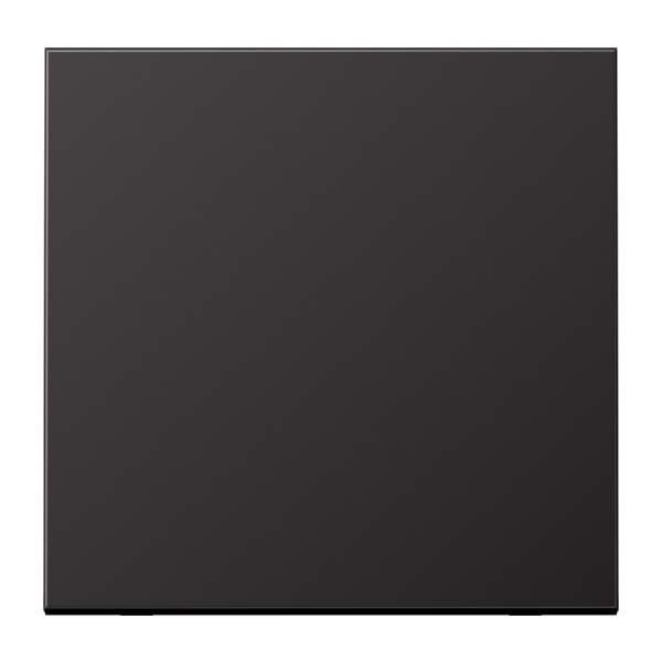 Steuertaste Standard AL 1700 D dark