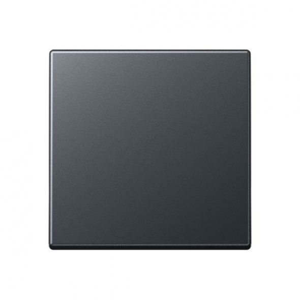 Steuertaste Standard A 1700 BF ANM anthrazit matt