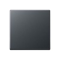 Steuertaste Standard A 1700 BF ANM anthrazit matt