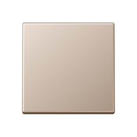Steuertaste Standard A 1700 CH champagner