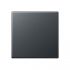Steuertaste Standard A 1700 BF ANM anthrazit matt